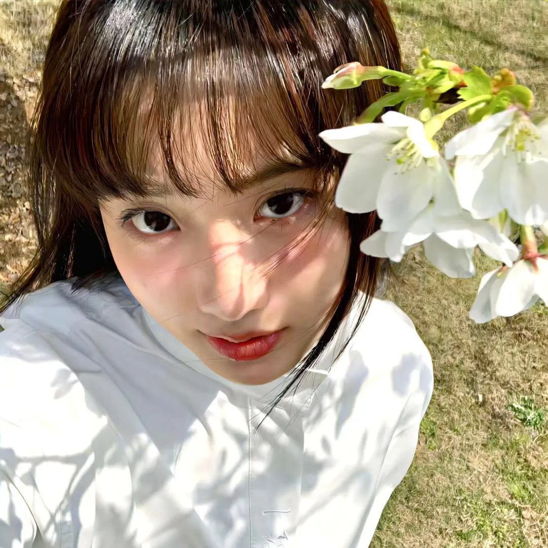 双枪大捕杀 在线观看