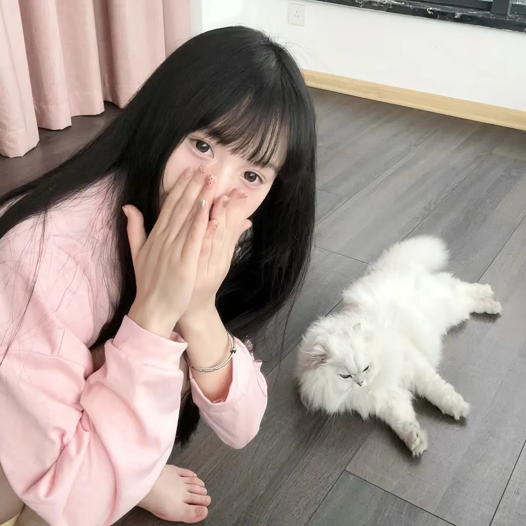 廉吏于成龙 在线观看